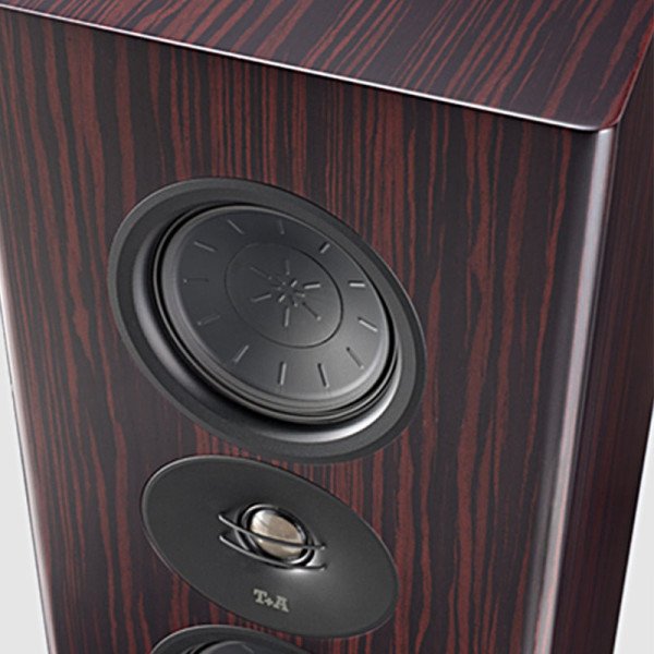 T+A CRITERION S 230 — High-End Standlautsprecher