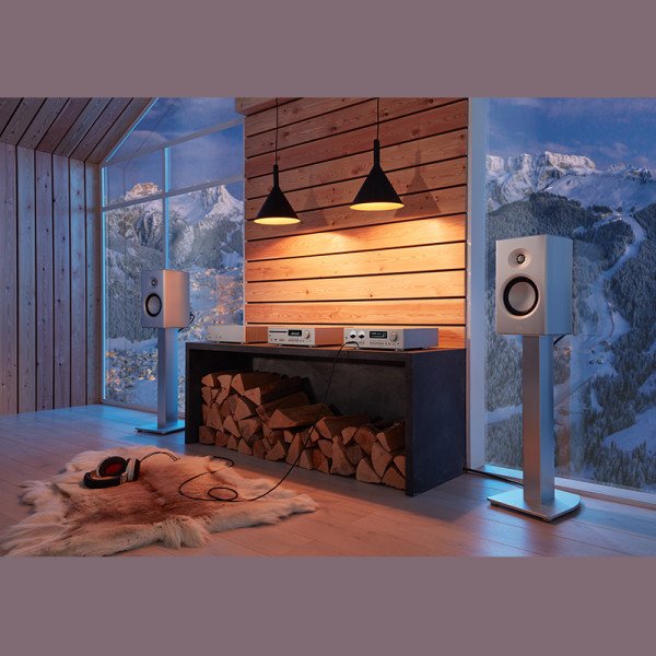 T+A M 200 — Mono-Endstufe Serie 200