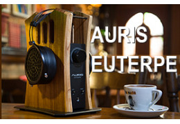 Auris Euterpe high-end headphone amp