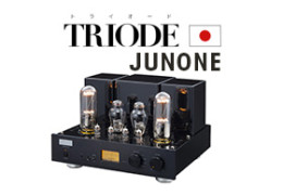 Complete tube amplifier "JUNONE 845S".